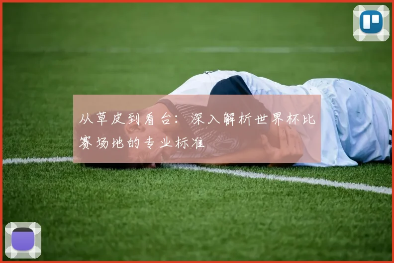从草皮到看台：深入解析世界杯比赛场地的专业标准